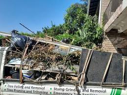 Best Hoarding Cleanup  in Burns, TN